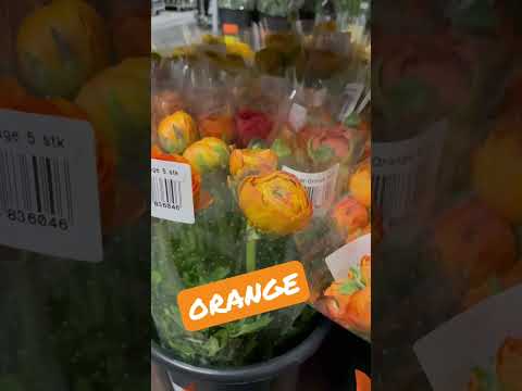 How To Hold Minimize Flowers Recent